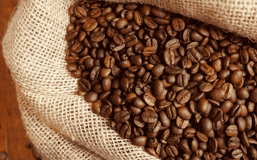 banner 1 1352x530px e1687448447811